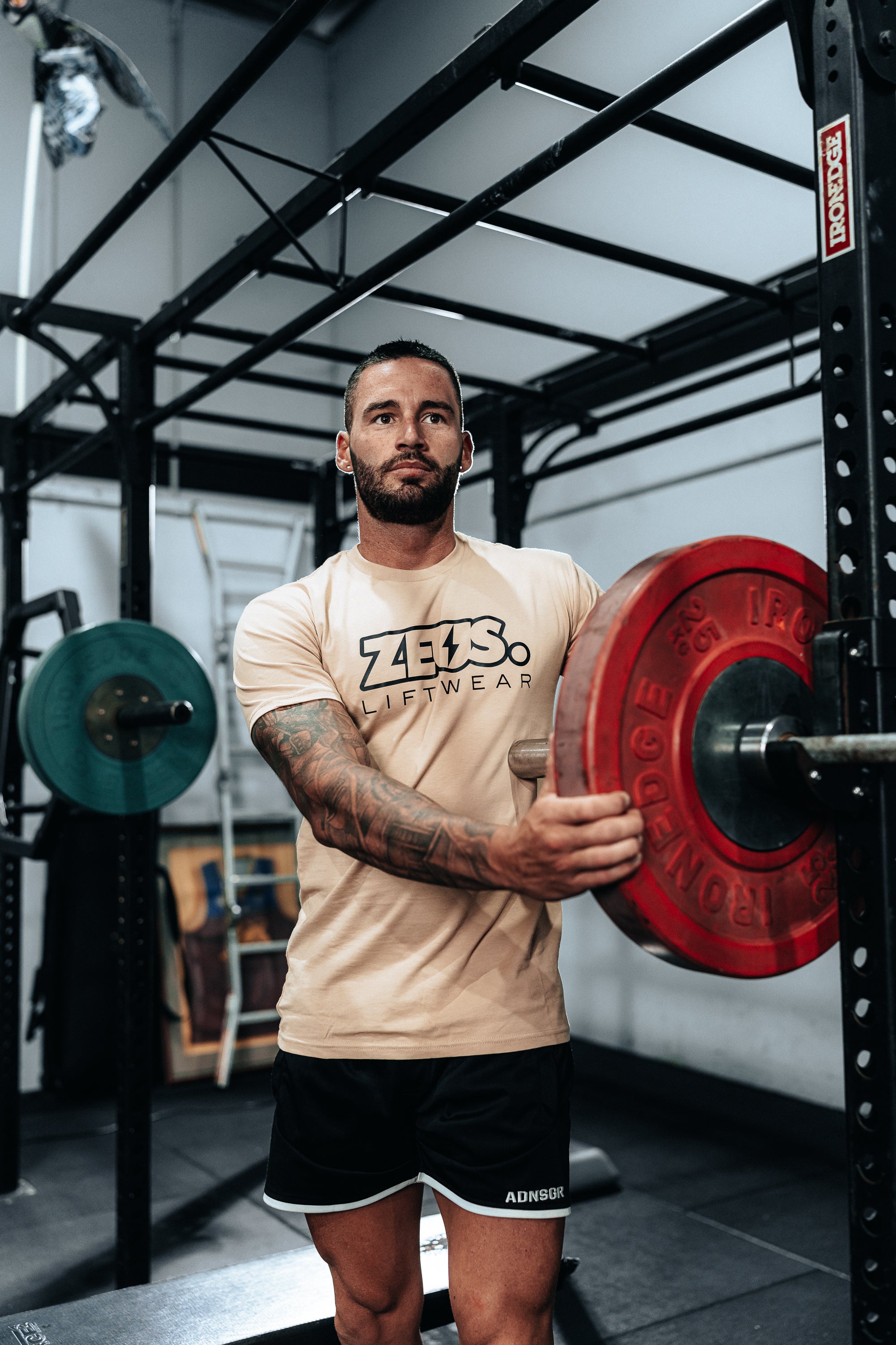 Zeus T-Shirt (Tan Holo)